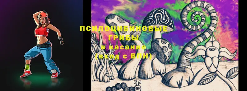 Галлюциногенные грибы Psilocybine cubensis  купить закладку  Арск 